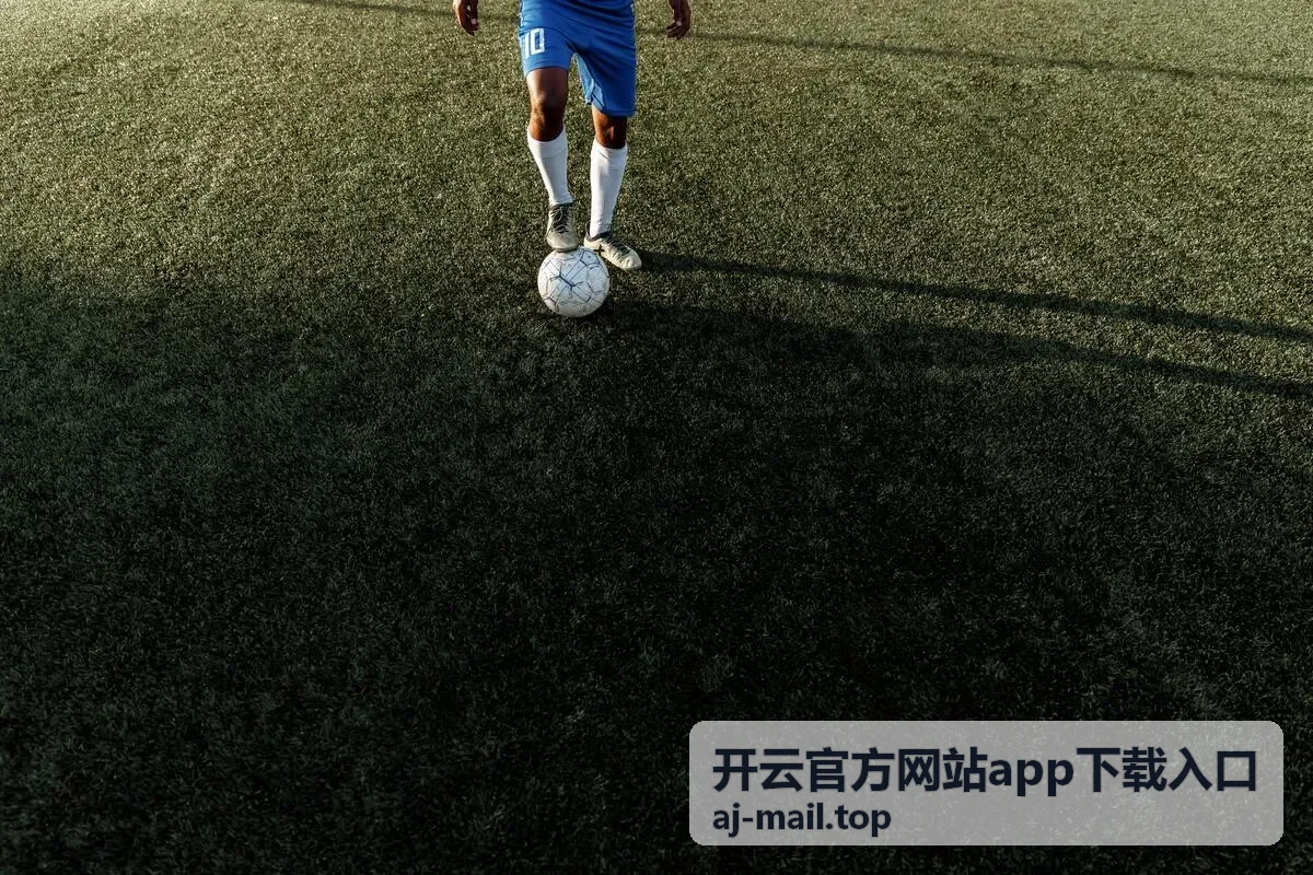 开云官方网站app下载入口安装前的版本信息核对示意图
