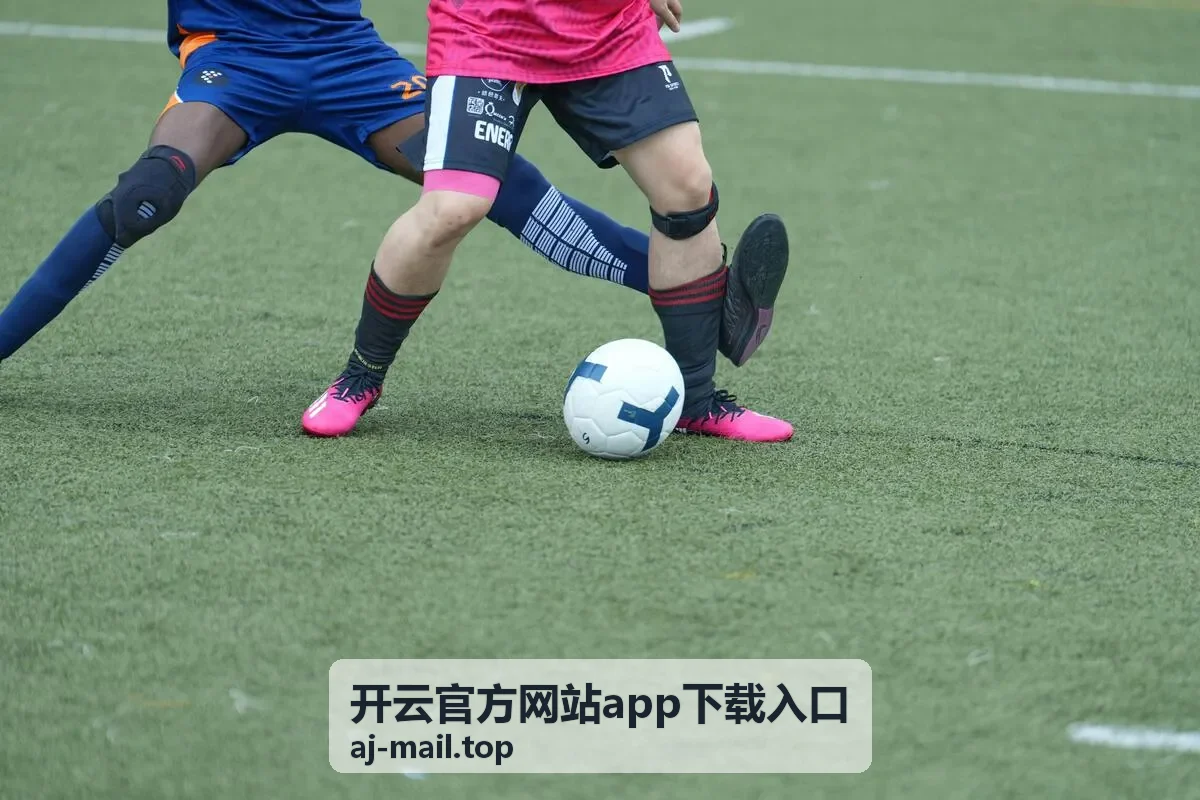 开云官方网站app下载入口权限设置与提示排查顺序示意