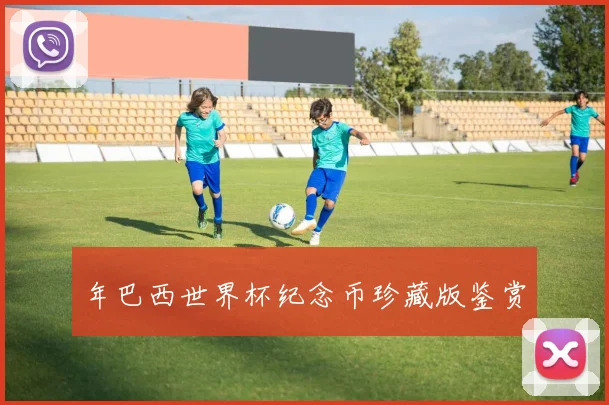 年巴西世界杯纪念币珍藏版鉴赏
