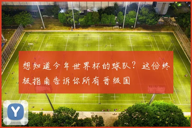 想知道今年世界杯的球队?这份终极指南告诉你所有晋级国