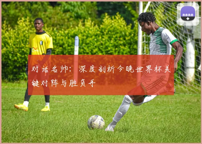 对话名帅：深度剖析今晚世界杯关键对阵与胜负手