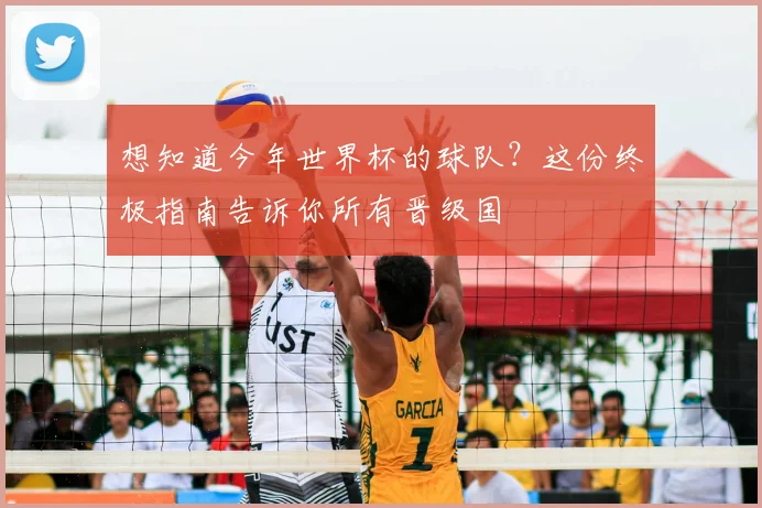想知道今年世界杯的球队？这份终极指南告诉你所有晋级国