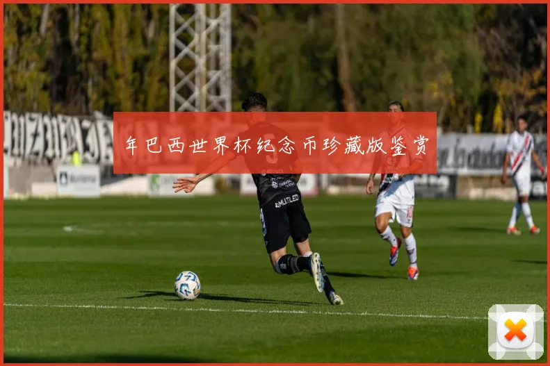 年巴西世界杯纪念币珍藏版鉴赏