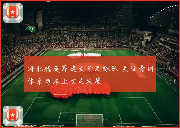 河北精英筹建女子足球队 关注青训体系与本土女足发展