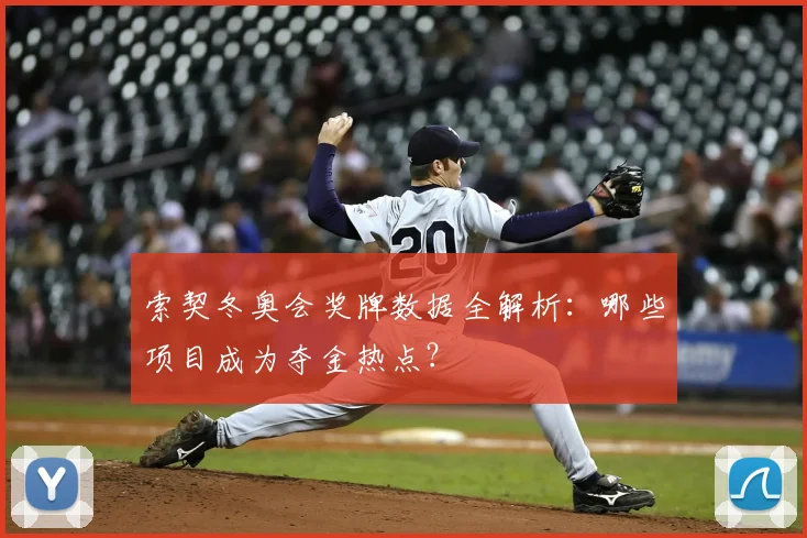 索契冬奥会奖牌数据全解析：哪些项目成为夺金热点？