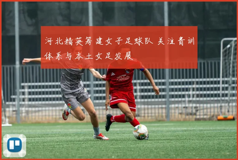 河北精英筹建女子足球队 关注青训体系与本土女足发展