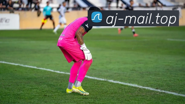 大阳城登录77139APP 体育赛事宣传图